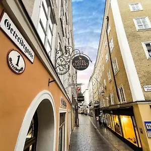 Elefant Family Business Hotel